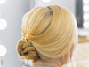 One Month Subscribe to EXPRESS hair styling classes - instant access to 12 online video classes